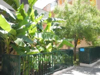 Hotel Miriam 