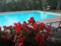 LAia Country Holidays 