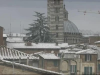 Rinidia - Siena Centro 