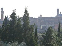 Siena Charme 