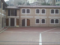 Soggiorno La Primula 