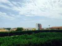 LInfiorescenza 