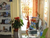 Camere America B&B 