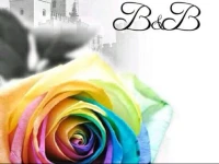 Rainbow B&B 