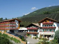 Hotel Garni HГ¶fler Fernblick 