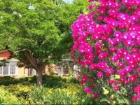 Il Giardino di Alba 