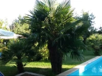 La Bastia Hotel & Resort 