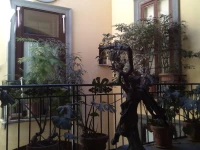 Sorrento Guest House 