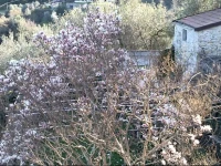 Villa Federici 