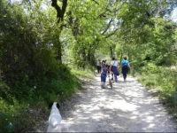 B&B Casale Rio Conca 