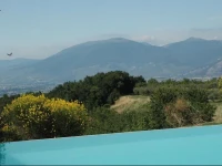 Agriturismo La Paladina 