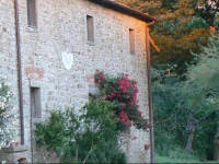 Casina Della Burraia 