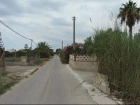 Casa Orchidee 