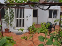 The Lemon Tree 
