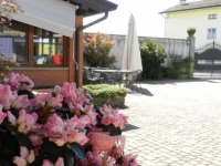 Agriturismo Tonutti 