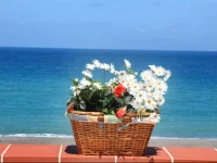 Vacanze al Mare Patrizias Sweet Home 