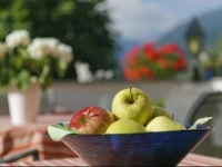 Garni-Hotel Tritscherhof 