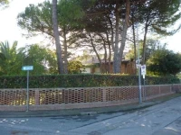 il geranio 