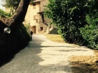 Il Donnarita 