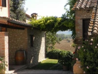 Agriturismo Borgo Laurice 