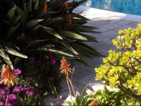 Casa vacanza "Tramonto salentino" 