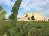Masseria Gelsi B&B and Events 