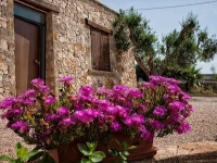 Trullo Le Macchie 