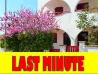 Casa vacanza "Spezia" - Salento 