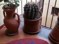 B&B Matida 