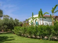 Tenuta Solentino 