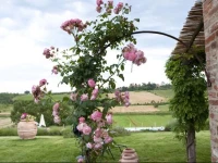 Agriturismo La Corte Dei Sogni 