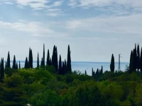 B&B Locanda Alpina 