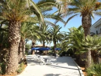 Le Palme Vacanze 