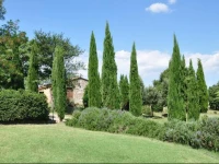 Campocane Oaks 