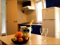Albatross Mobile Homes on Camping CaSavio 