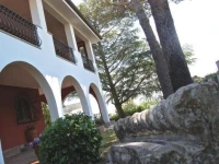 Villa Moma 