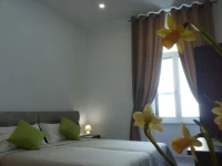 Brilliant Camere 