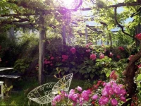 Bed & Breakfast Uvablu 