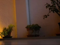 La Corte del Noce 