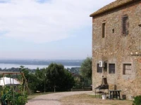 Oliveto di Teodora 