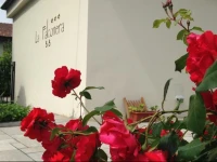 B&B La Falconera 