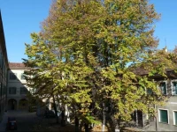 Housing Giulia 