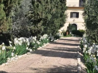 Colonna Country Retreat 