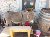 Bed and Breakfast da Lucia 