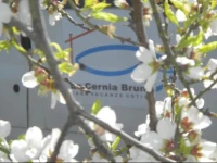 Case Vacanze La Cernia Bruna 