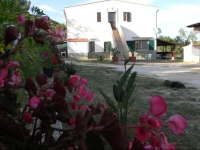 Atlhos Case Vacanze Vieste 