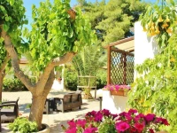 Residence Rendez Vous 
