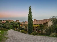 Fattoria Di Corsignano 