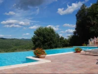 LAiolina 