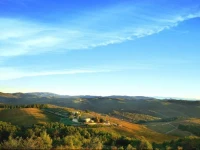 Villa Dievole 